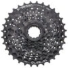 Cassette Shimano Altus CS-HG31 - 8 Vitesses - 11-30 Dents