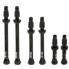Kit De Valves Tubeless Fulcrum 2-Way Fit 44 Mm
