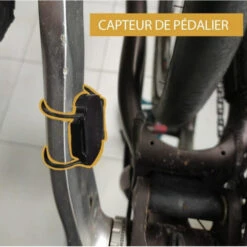 Roue Avant Avec Moteur Electrique Intégré Teebike 20" Reconditionnée -Vélo Accessoires Soldes Boutique roue avant avec moteur electrique integre teebike 20 reconditionnee 2