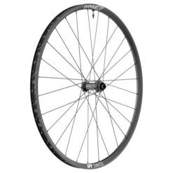 Dt-swiss Roue VTT Avant DT Swiss X 1900 Spline 29"